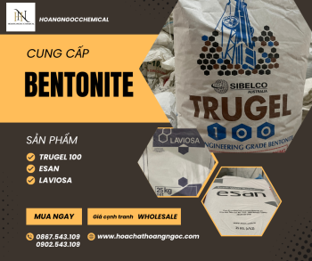BENTONITE